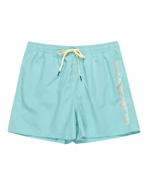 Behind Waves Volley Shorts in Marine Blue
